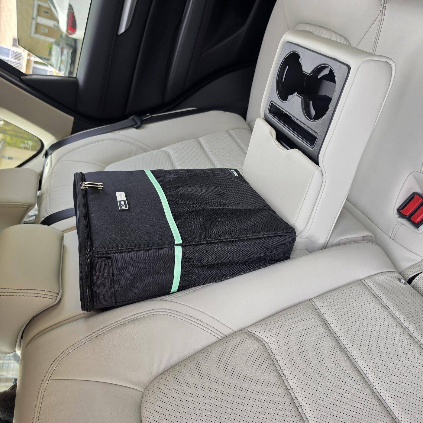 RoadBin sitting on the center console